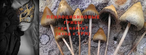 герыч Алзамай